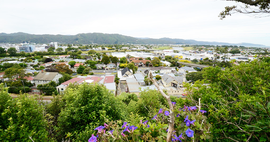 ハット箕面友好ハウスよりハット市を臨む(2012年) ハット箕面友好ハウスよりハット市を望む(2012年)